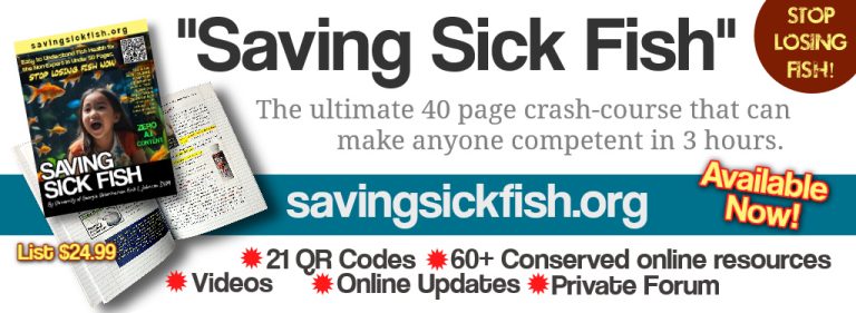 “Saving Sick Fish” by Dr. Erik Johnson